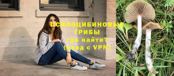 прущие крисы Алексеевка
